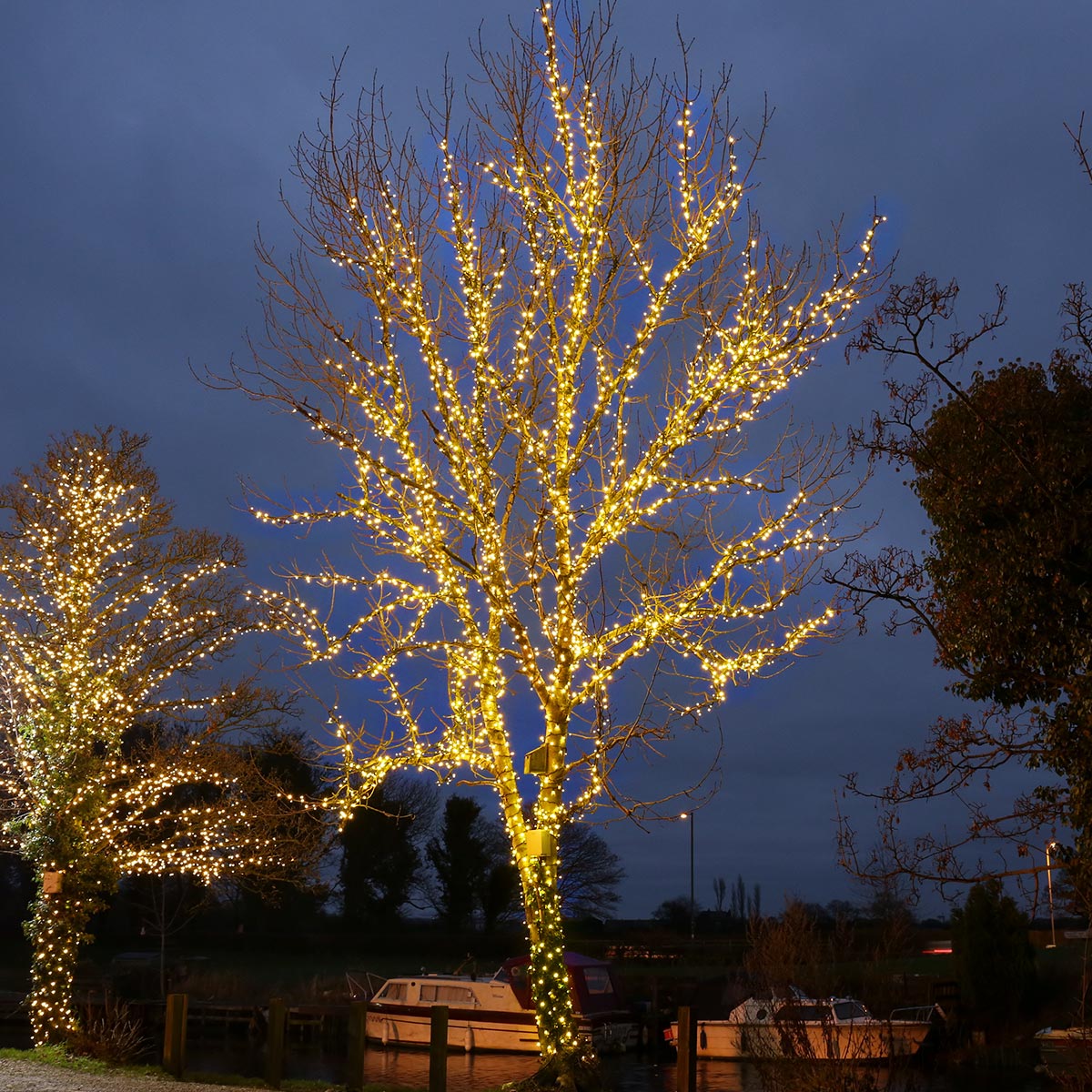 Connectable Outdoor String Lights on Black Rubber Cable