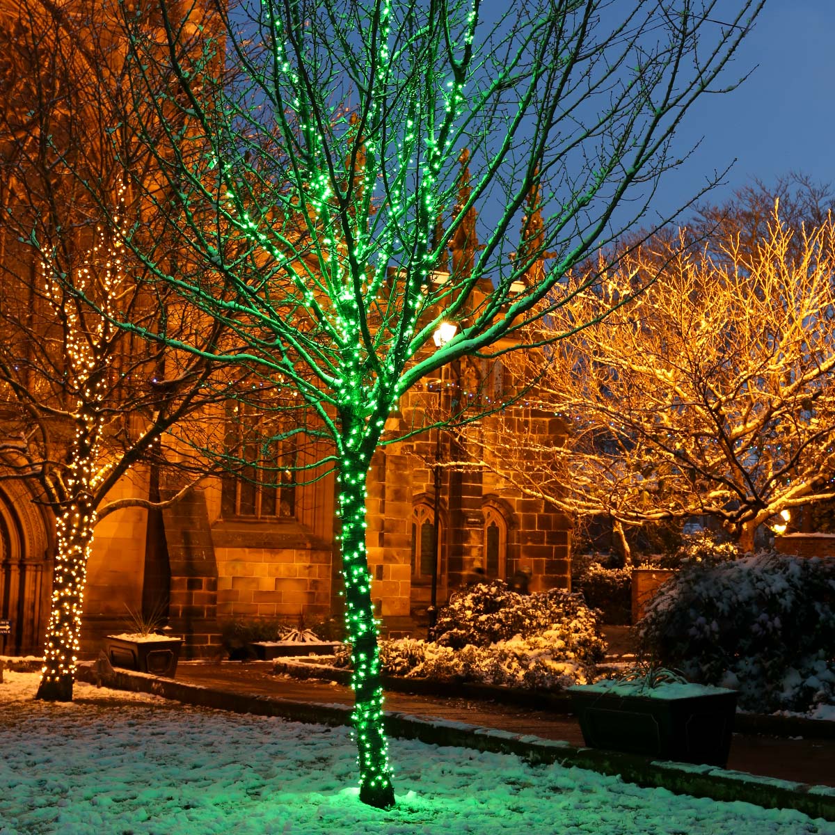 Connectable Outdoor String Lights on Black Rubber Cable