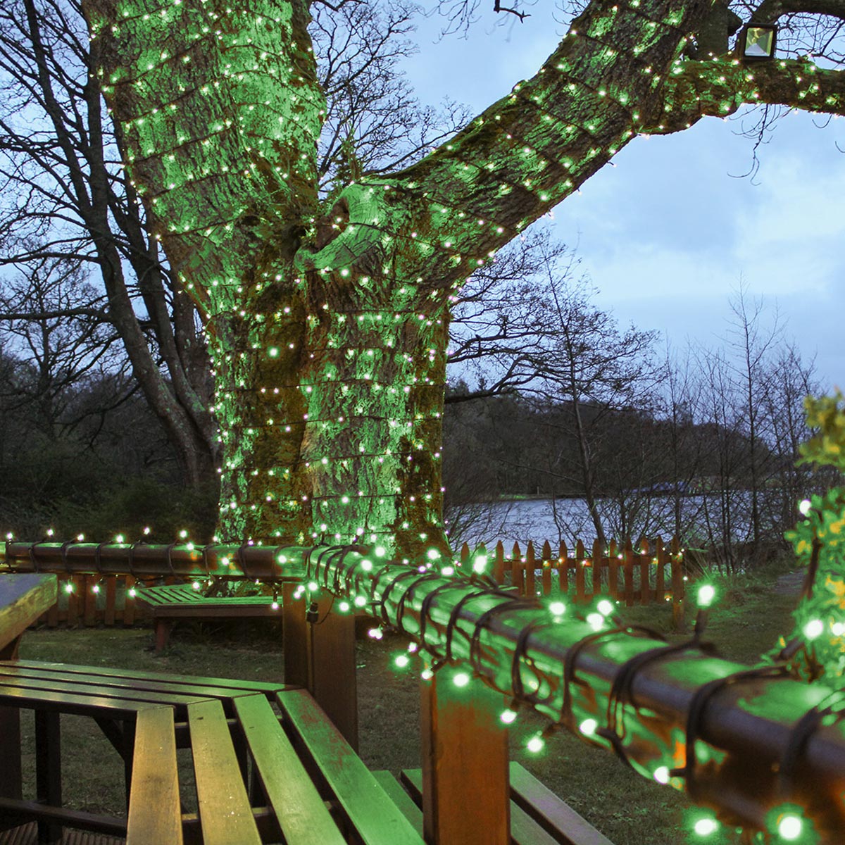Connectable Outdoor String Lights on Black Rubber Cable